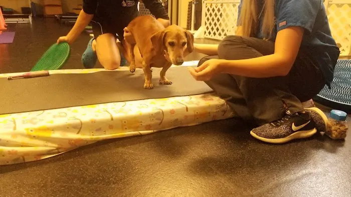 Animal Therapy Center 12