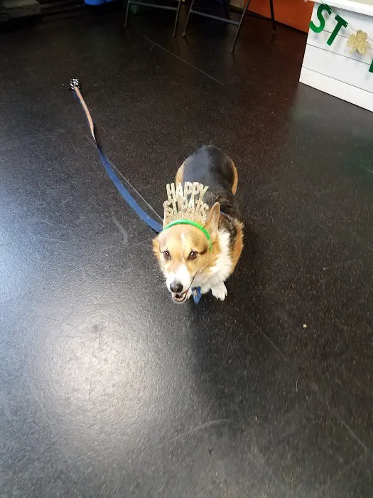 Animal Therapy Center 12