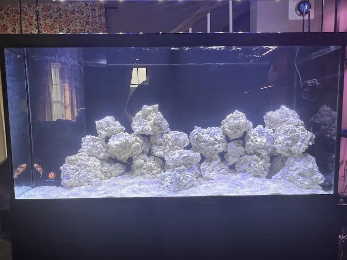 Zac's Reef 12