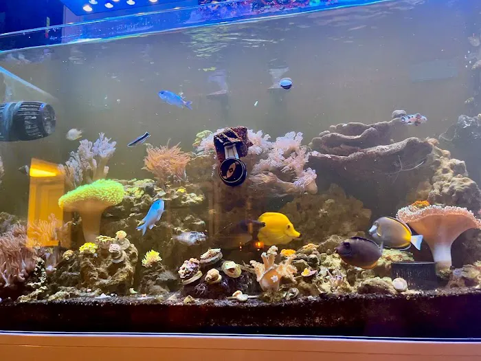 Zac's Reef 12