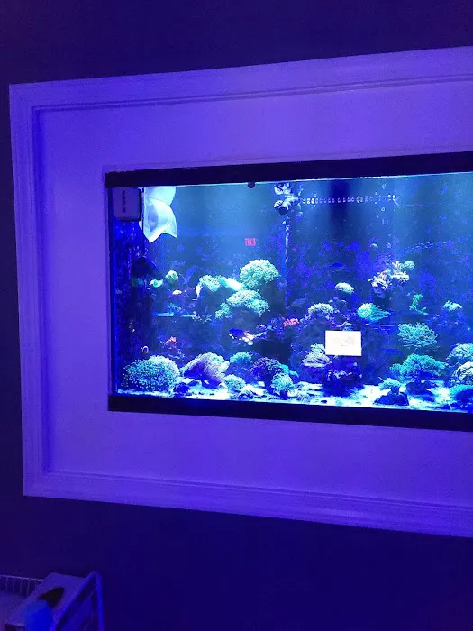 Zac's Reef 12