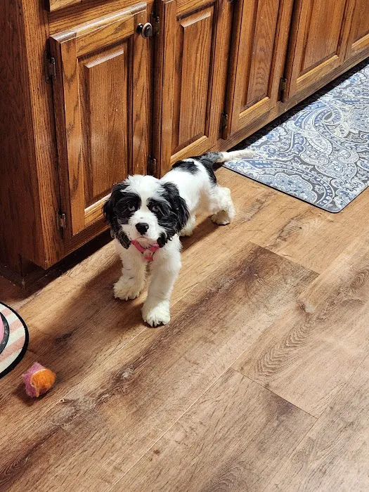 The Puppy Patch LLC 12