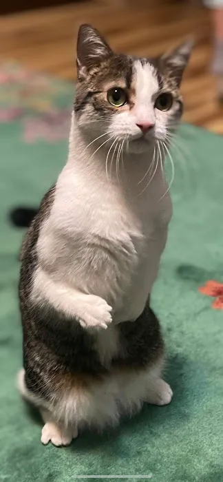 Dr. Karen's Critter Care 12