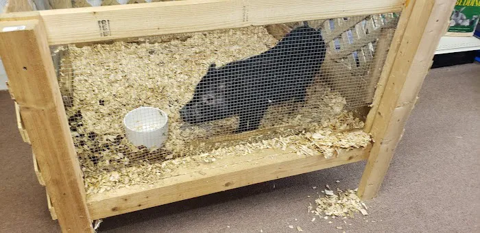Two Guyz Pet Shop 12