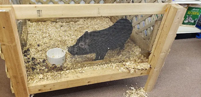 Two Guyz Pet Shop 12