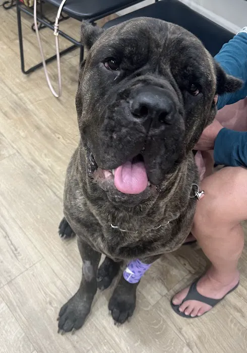 Valley Central Veterinary Referral and Emergency Center 12