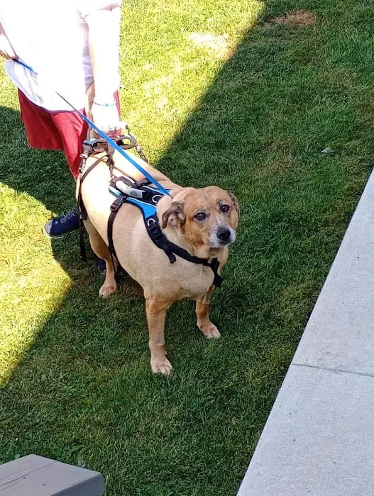 Valley Central Veterinary Referral and Emergency Center 12