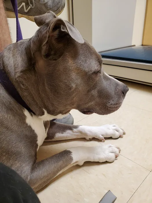 Valley Central Veterinary Referral and Emergency Center 12