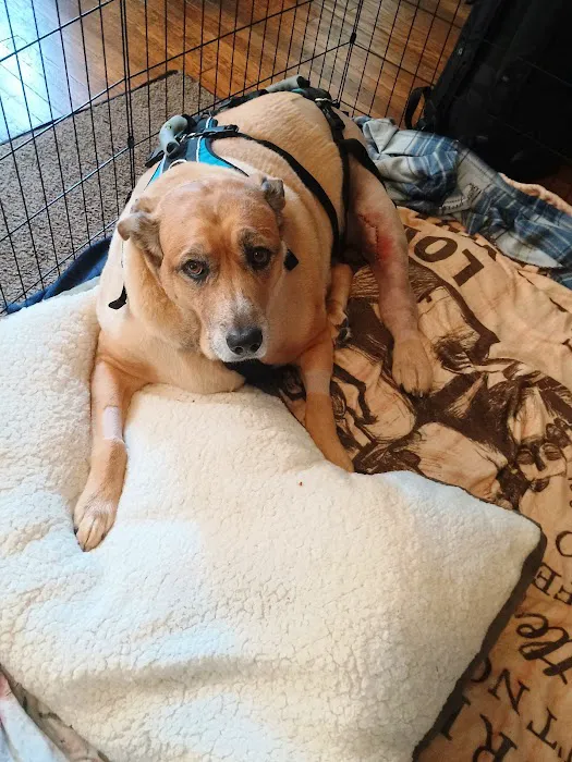 Valley Central Veterinary Referral and Emergency Center 12