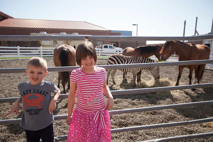 Purdue University Equine Hospital 12