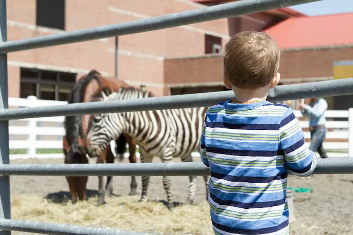 Purdue University Equine Hospital 12