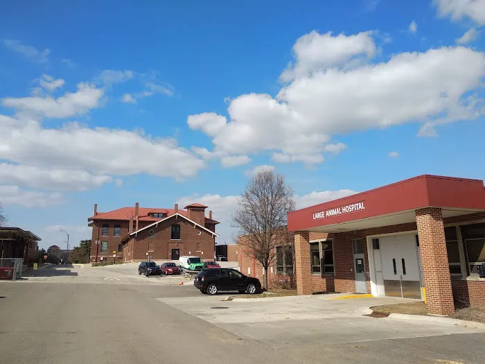 Purdue University Equine Hospital 12