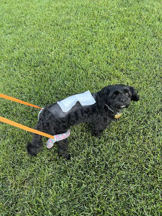 Purdue University Small Animal Hospital 12