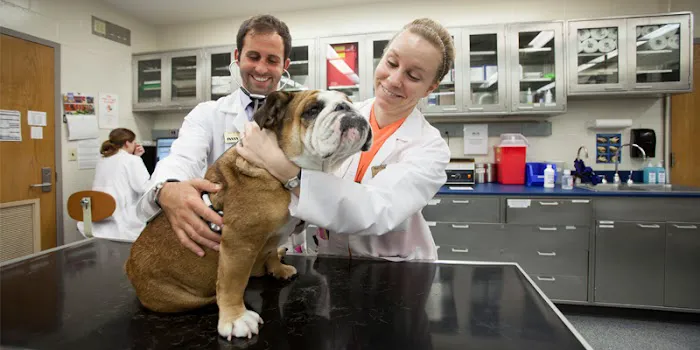 Purdue University Small Animal Hospital 12