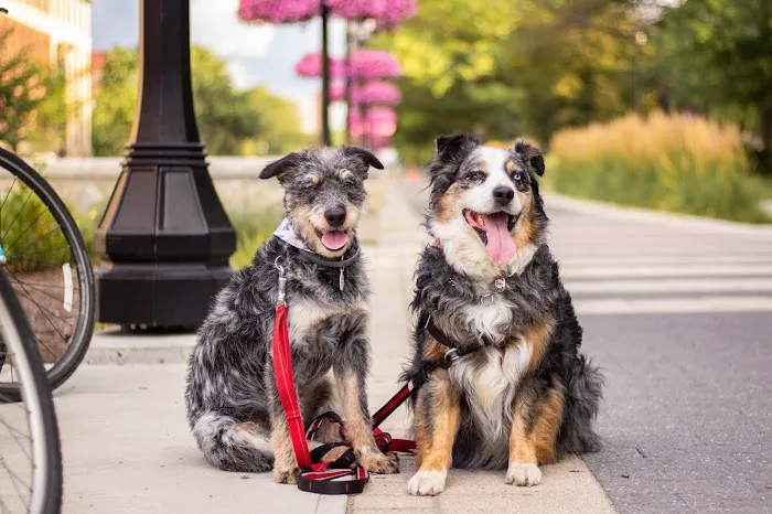 Creekside Animal Hospital 12