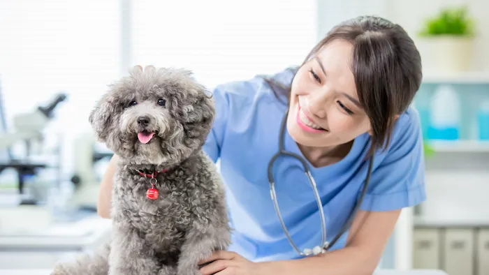 Pets and Vets as Partners 12