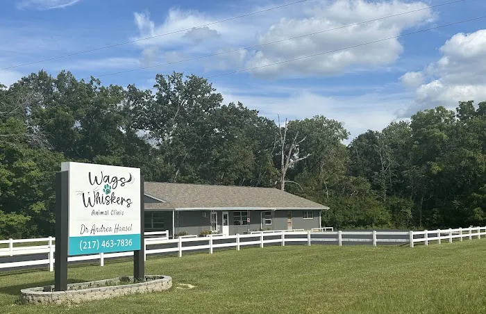 Wags & Whiskers Animal Clinic 12