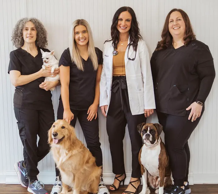 Wags & Whiskers Animal Clinic 12