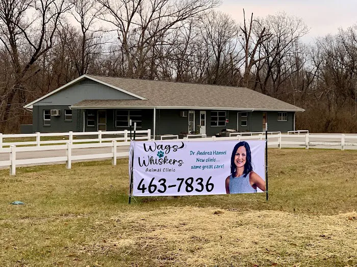 Wags & Whiskers Animal Clinic 12