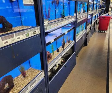 Petco