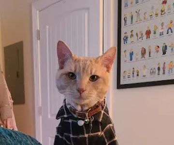 Petco
