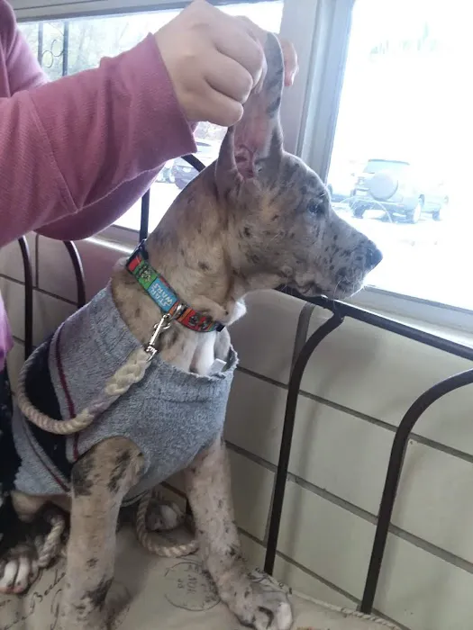 Animal Family Vet Care Center of Paris 12