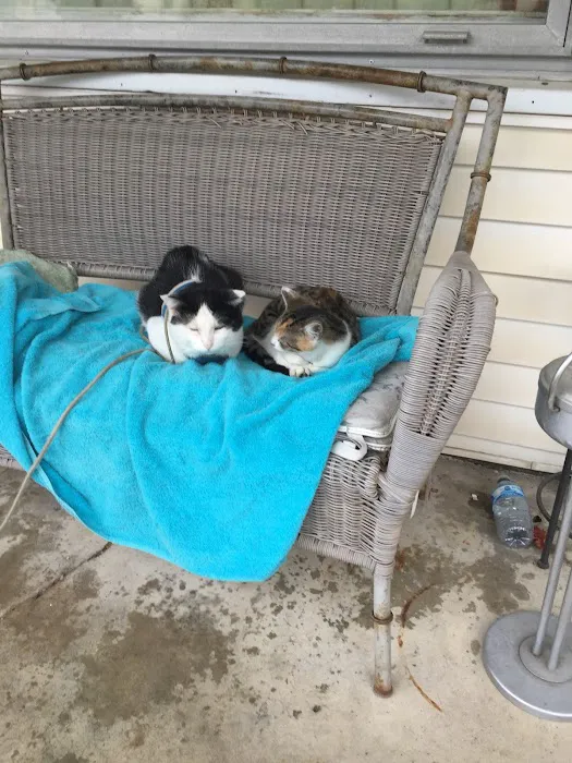 Animal Care Clinic 12