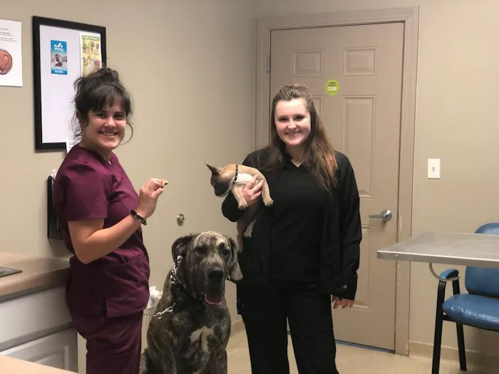 Farm & Family Veterinary Service 12