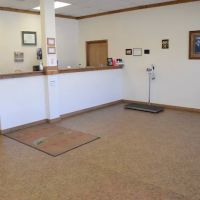 Albright Veterinary Services ico