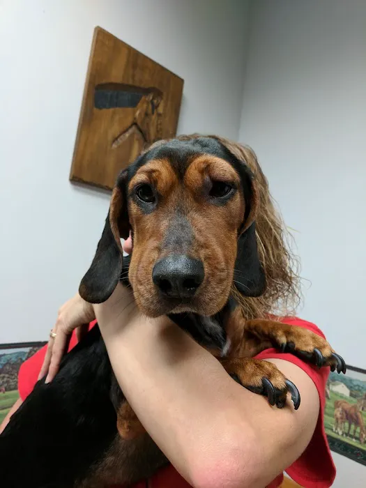 Robinson Hospital for Animals 12