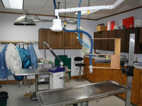 Robinson Hospital for Animals 12