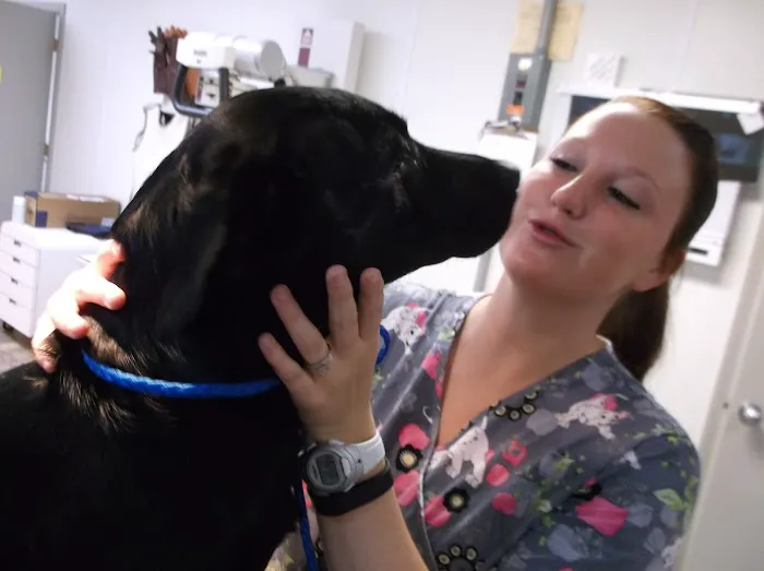 Vincennes Veterinary Clinic 12