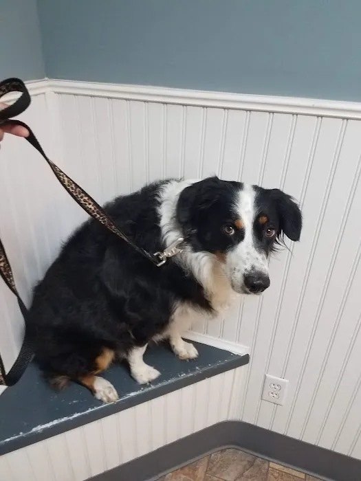 Vincennes Veterinary Clinic 12