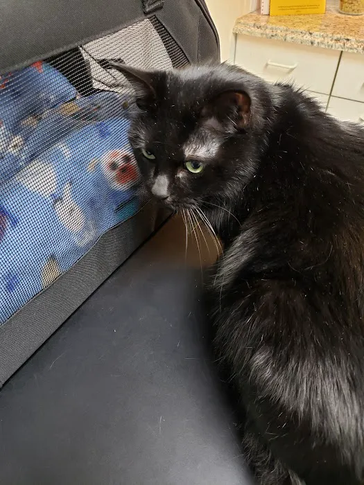 Vincennes Veterinary Clinic 12