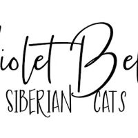 Violet Belles Siberian Cats ico