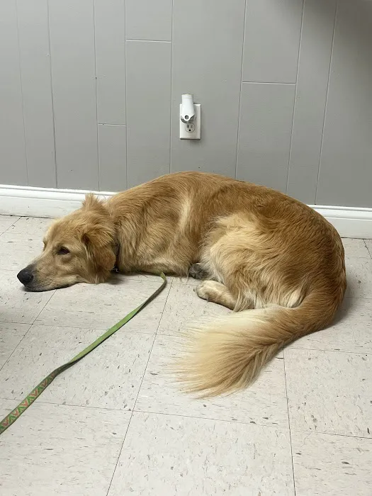 Southgate Veterinary Clinic 12