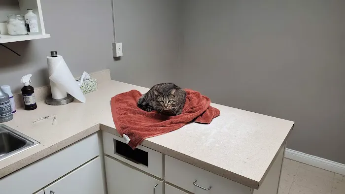 Southgate Veterinary Clinic 12