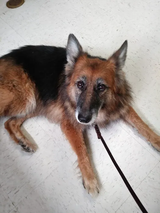 Southgate Veterinary Clinic 12