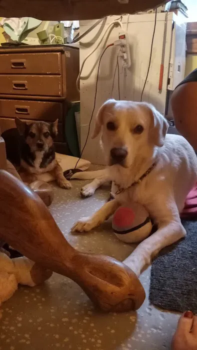 Dogwood Animal Clinic Inc 12