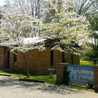 Dogwood Animal Clinic Inc ico