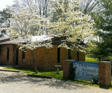 Dogwood Animal Clinic Inc