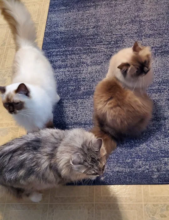 Jasper Pet Clinic 12