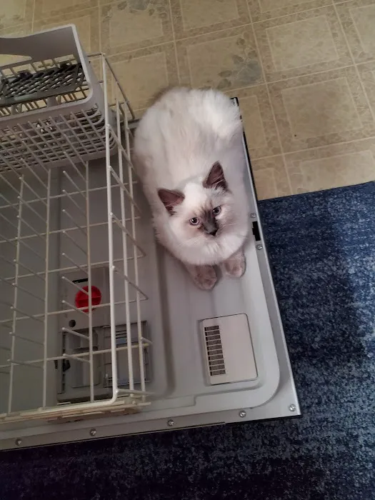 Jasper Pet Clinic 12