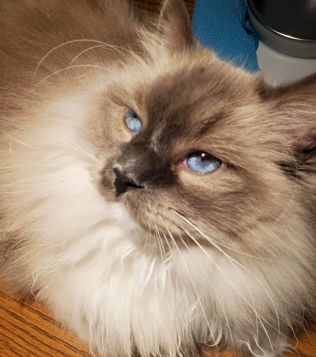 Jasper Pet Clinic 12