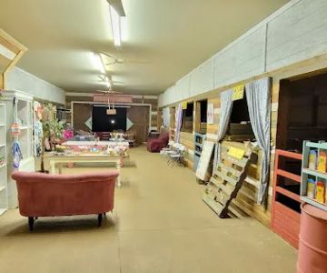 Piggy Pet Shop