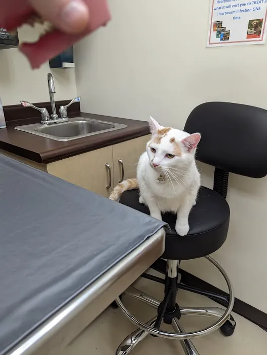 Farmersville Veterinary 4