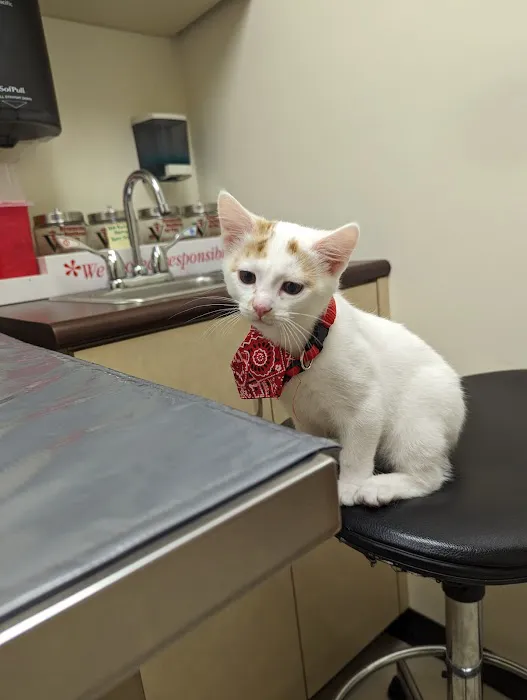 Farmersville Veterinary 5