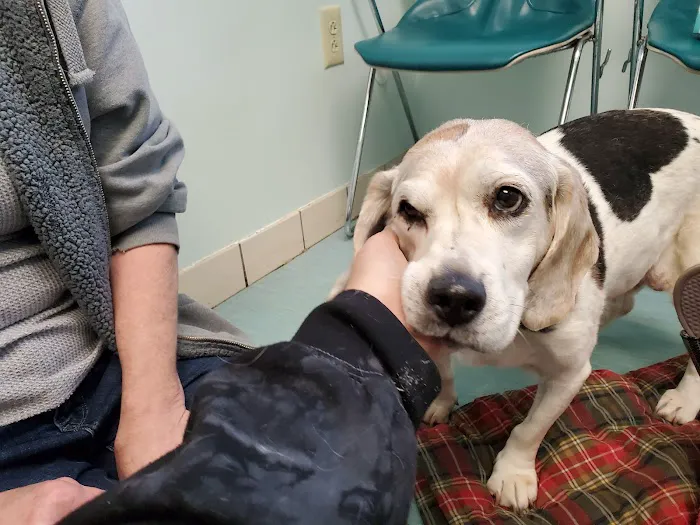 Shiloh Animal Hospital 7