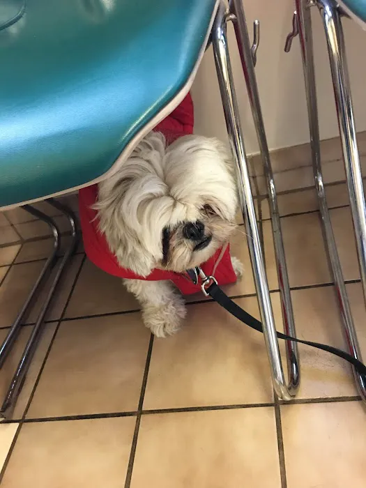 Shiloh Animal Hospital 9