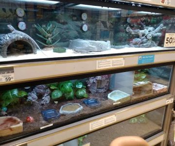 Petco